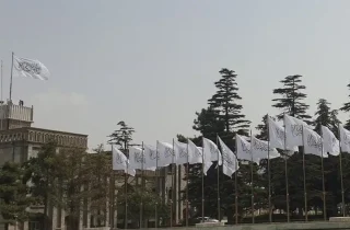 طالبان: هفتم ثور روز سیاه و هشتم ثور روز آزادی و نعمت الهی است