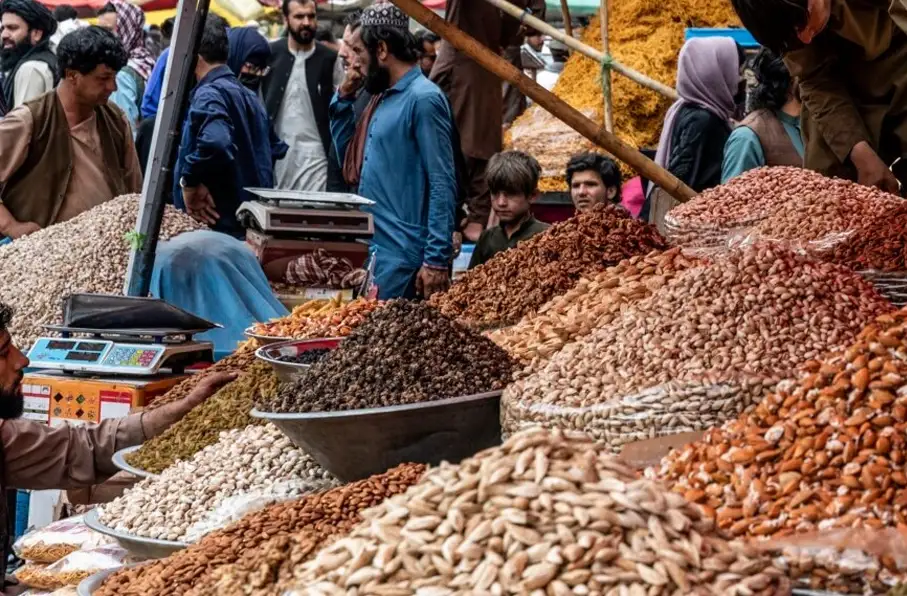 ارزش صادرات میوه‌های تازه و خشک افغانستان به ۶۴۳ میلیون دالر رسید