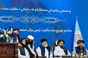 طالبان برای حمایت از صنعتکاران سند ملکیت زمین توزیع میکند