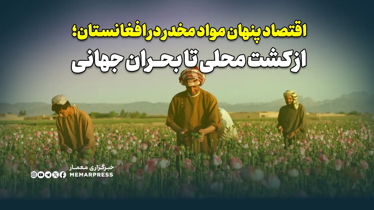 اقتصاد پنهان مواد مخدر در افغانستان؛ از کشت محلی تا بحران جهانی