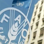 سازمان ملل از ایجاد ۲۰۰۰ گلخانه هوشمند در افغانستان خبر داد