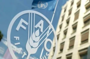 سازمان ملل از ایجاد ۲۰۰۰ گلخانه هوشمند در افغانستان خبر داد