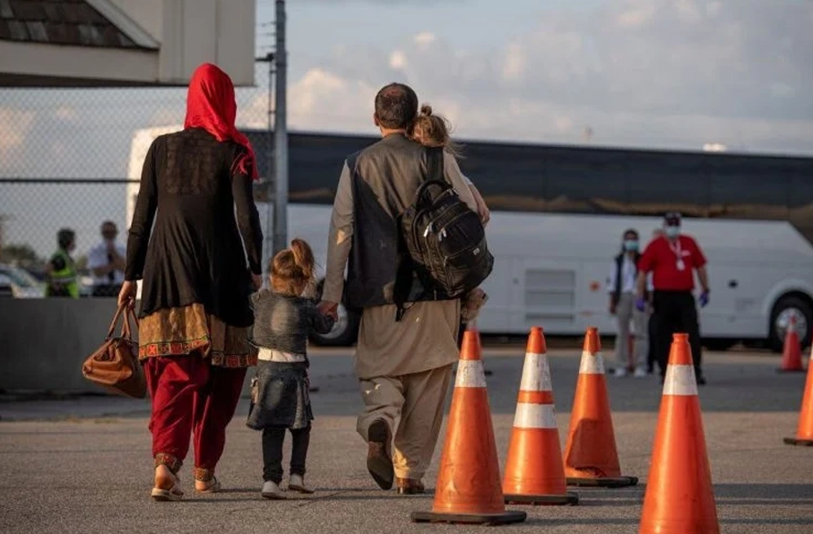 اخراج گروهی پناهجویان افغانستانی از آلمان