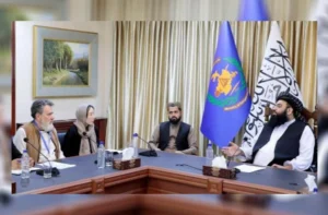 تخصیص زمین برای فعالیت‌های سازمان بین‌المللی مهاجرت