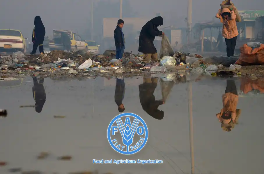 افغانستان، بنگلادیش و پاکستان در صدر فهرست جهانی ناامنی غذایی