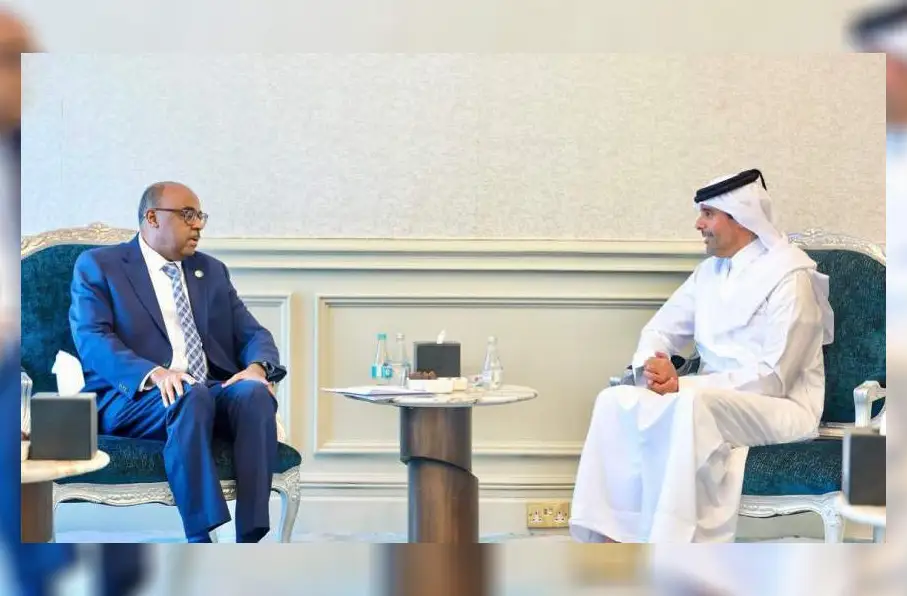 تاکید سازمان همکاری‌های اسلامی و قطر بر ایجاد صلح و ثبات در افغانستان