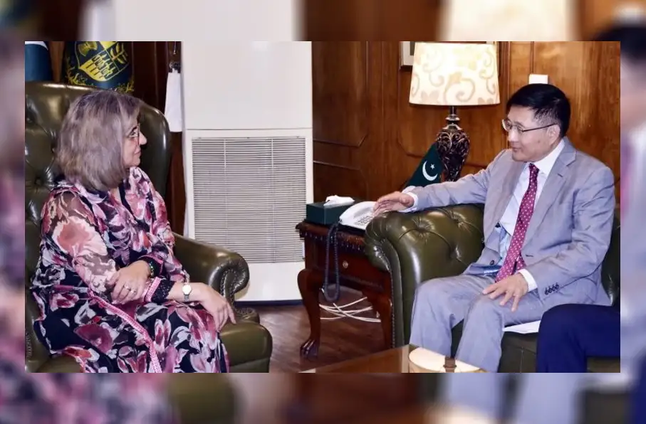 گفتگوی مقامات چین و پاکستان درباره امنیت منطقه‌ای به ویژه افغانستان