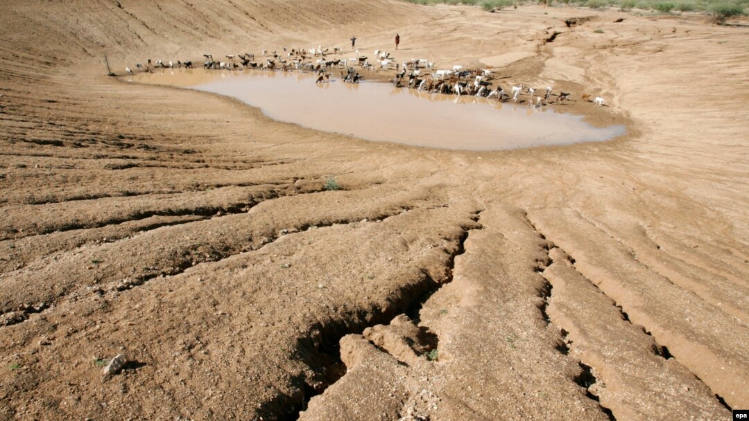 سازمان ملل: فاریاب درگیر شدیدترین خشکسالی پنج سال گذشته است