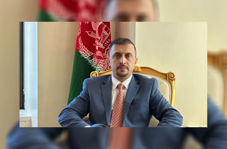 نصیراحمد فایق: بدون رهایی از طالبان، جشن استقلال شعاری توخالی است
