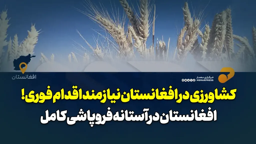 کشاورزی در افغانستان نیازمند اقدام فوری!