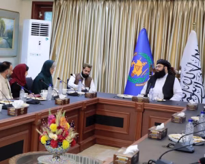 نهاد دانمارکی خواستار همکاری طالبان در ساده‌سازی روند توزیع کمک‌ها شد