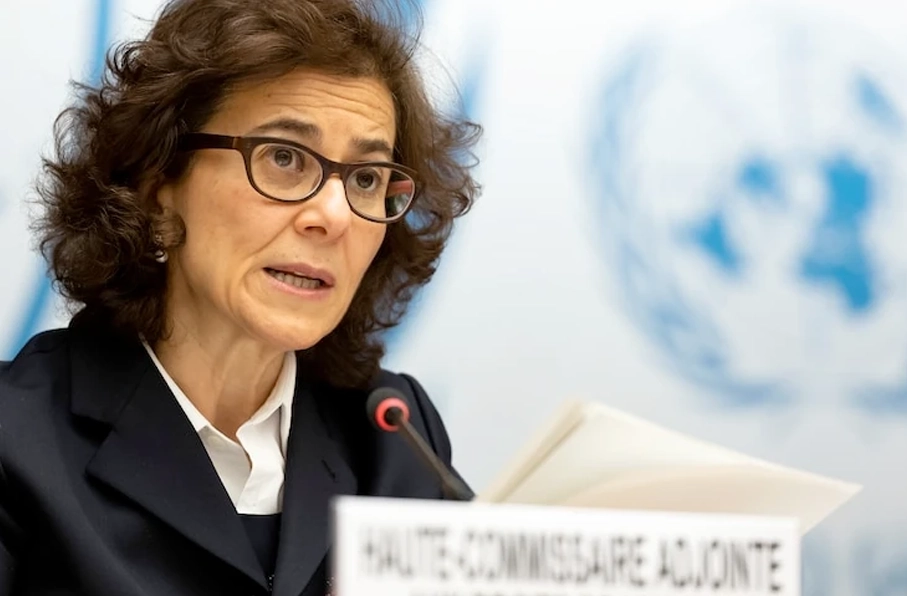 معاون کمیساریای عالی حقوق بشر سازمان ملل
