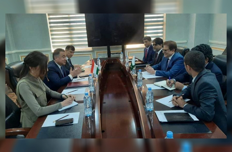 تاکید پاکستان و تاجیکستان بر ضرورت راهبرد مشترک برای مهار تهدیدات تروریستی از خاک افغانستان