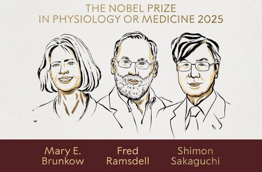 نوبل پزشکی ۲۰۲۵ به سه دانشمند برای کشف راز کنترل سیستم ایمنی اهدا شد