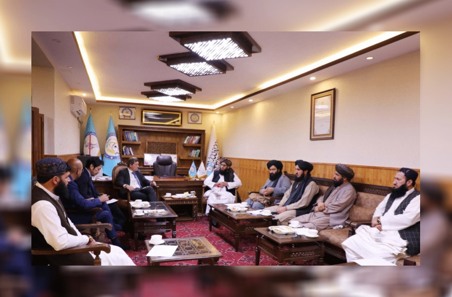 تأکید طالبان و یوناما بر همکاری‌های بین‌المللی در روند مبارزه با مواد مخدر