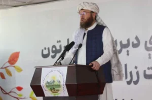 طالبان: تمرکز بر زراعت و مالداری ما را به خودکفایی غذایی رساند