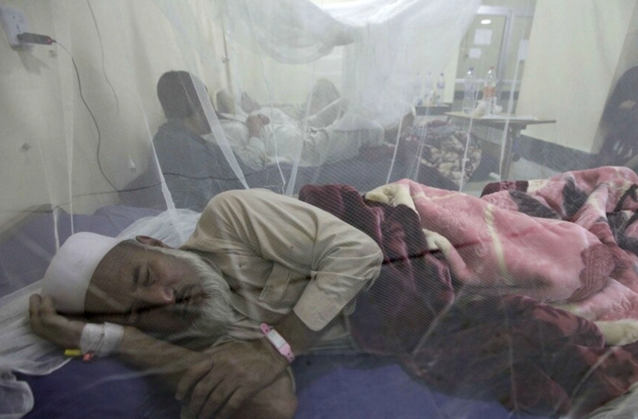 هشدار سازمان جهانی بهداشت درباره افزایش موارد ابتلا تب دنگی در شرق افغانستان