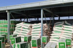 King Salman Foundation