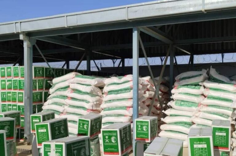 King Salman Foundation