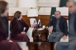 وزیر داخله پاکستان می‌گوید مذاکرات با طالبان زیر سایه تهدیدات امنیتی ممکن نیست.