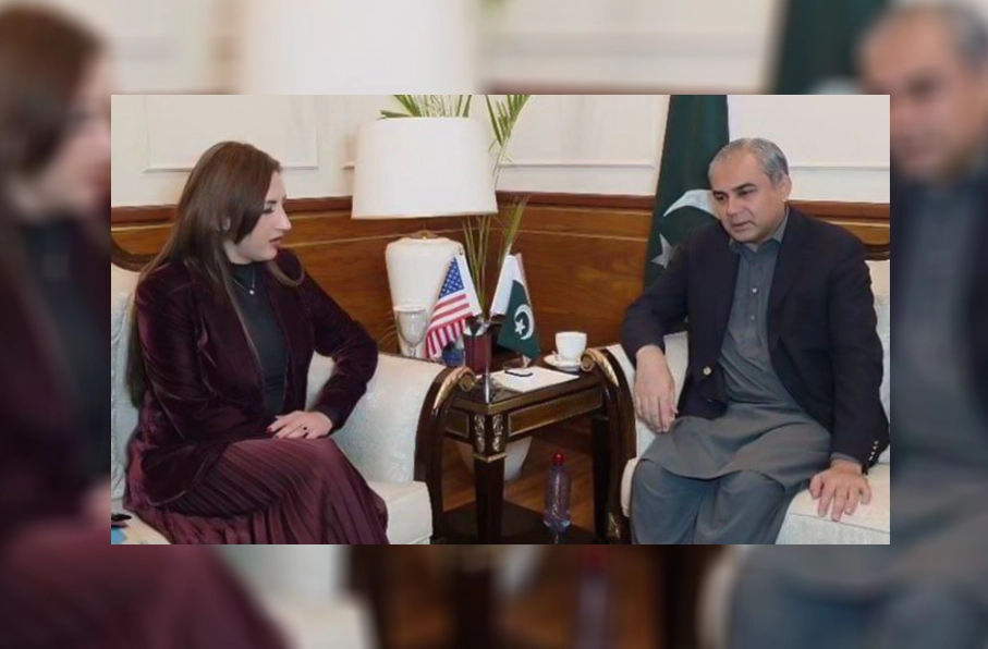 وزیر داخله پاکستان می‌گوید مذاکرات با طالبان زیر سایه تهدیدات امنیتی ممکن نیست.