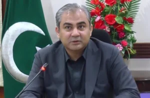 وزیر داخله پاکستان: عاملان حملات تروریستی از افغانستان وارد کشور می‌شوند