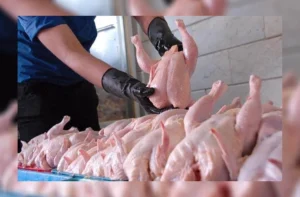 کاهش چشم‌گیر قیمت گوشت و تخم‌مرغ در کراچی پاکستان