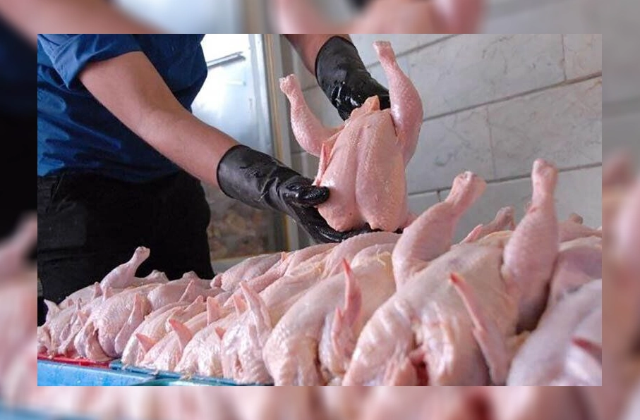 کاهش چشمگیر قیمت گوشت و تخممرغ در کراچی پاکستان