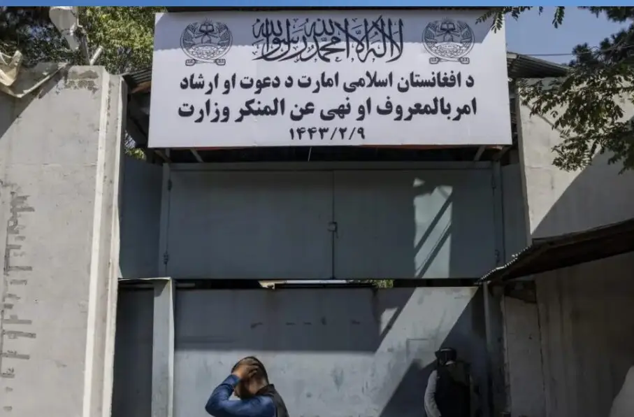 طالبان: تعلیق فعالیت نهادهای بینالمللی در اسلامقلعه اقدامی مغرضانه است