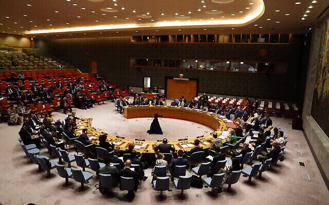 United Nations Security Council