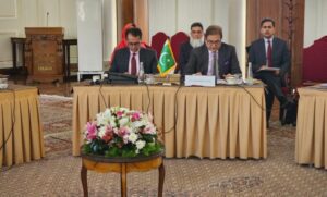 محمد صادق: پاکستان خواهان ترویج صلح و امنیت در منطقه است