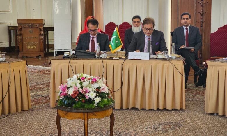 محمد صادق: پاکستان خواهان ترویج صلح و امنیت در منطقه است