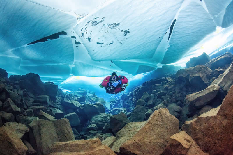 بهترین عکسهای سال ۲۰۲۵ از نگاه ویراستاران DPReview (۲۴ مورد برتر) زیر سطح آب