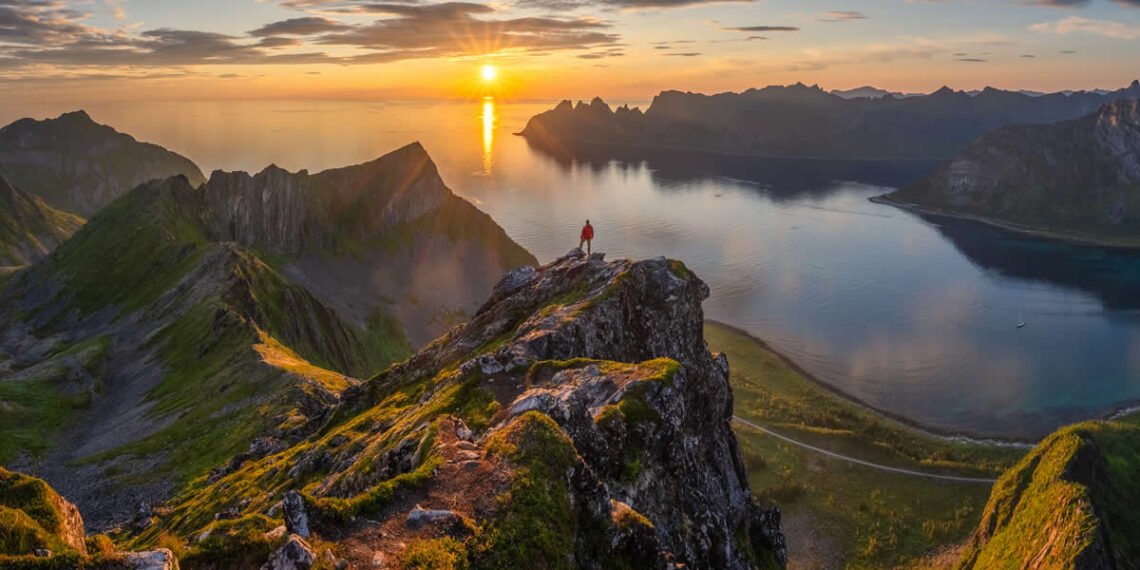 بهترین عکسهای سال ۲۰۲۵ از نگاه ویراستاران DPReview (۲۴ مورد برتر) امپراتوری خورشید نیمهشب