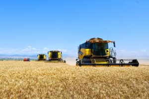 Grain export