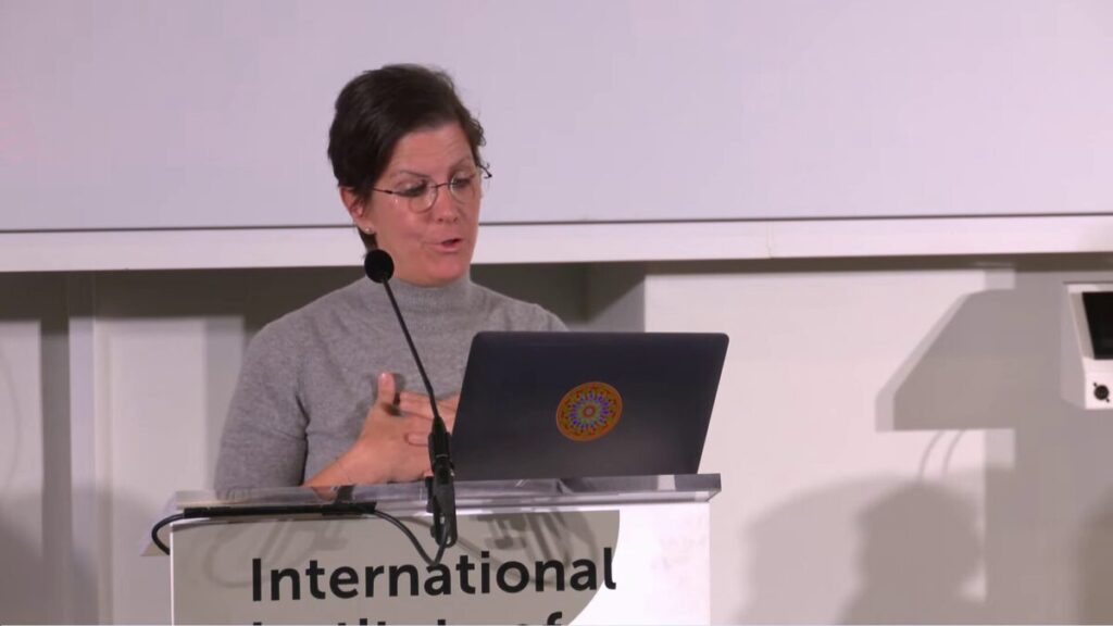 UN Special Rapporteur