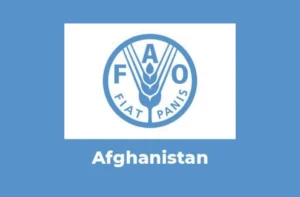 تأکید فائو بر ضرورت ایجاد محیط‌های دیجیتال امن برای نقش‌آفرینی زنان افغانستان