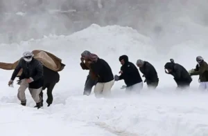 ایران از نجات ۲ هزار مهاجر افغانستانی در مناطق مرزی خبر داد.