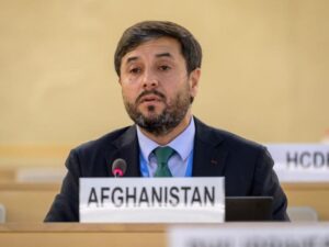 Nasir andisha