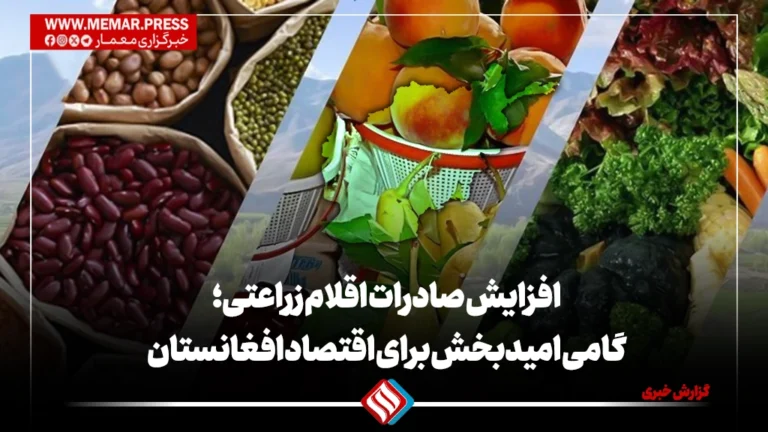 افزایش صادرات اقلام زراعتی؛ گامی امیدبخش برای اقتصاد افغانستان