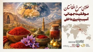 طلای سرخ افغانستان؛ موفقیت جهانی، آسیب‌پذیری داخلی
