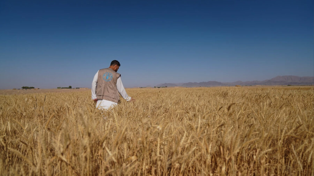 اختصاص ۲ میلیارد افغانی به کشاورزان برای توسعه زراعت در افغانستان