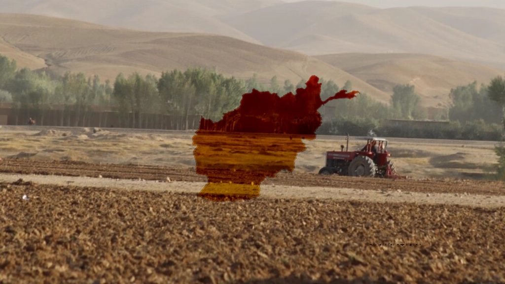 بدون کشت بدیل و بازار فروش، دهقانان افغان در خطر هستند