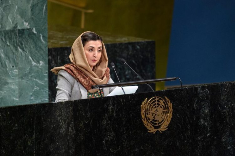 عادله راز عضو هیئت مشورتی سازمان ملل شد