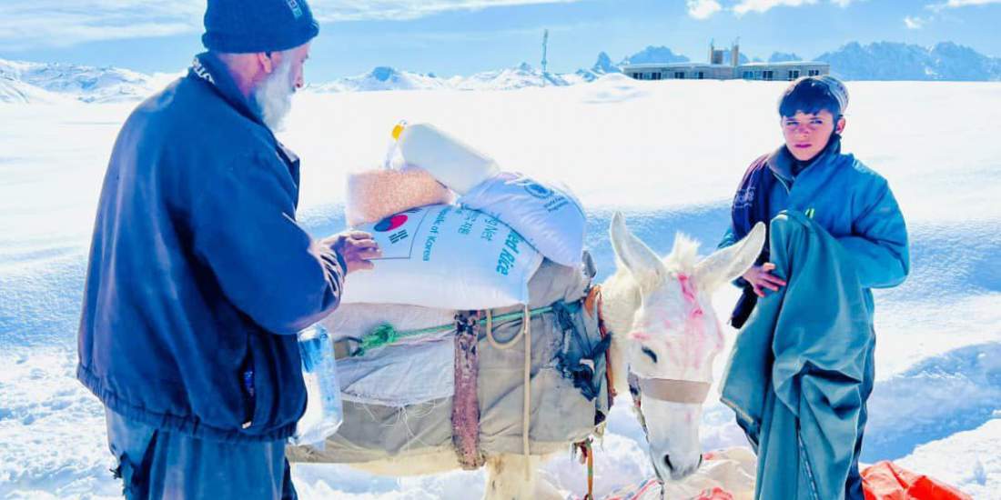 هشدارهای بین‌المللی درباره تشدید ناامنی غذایی در افغانستان در سه ماه آینده 