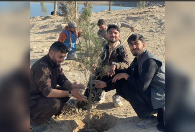 در حالی که آلودگی شدید هوا زندگی باشندگان کابل را دشوار کرده و بسیاری تنها در شبکههای اجتماعی به انتقاد بسنده میکنند، گروهی از جوانان تحصیلکرده با راهاندازی کارزاری داوطلبانه، دست به اقدام عملی برای سبزتر کردن پایتخت زدهاند.