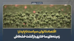 اقتصاد ناتوان، سیاست ناپایدار؛ زمینه‌های ساختاری بازگشت خشخاش