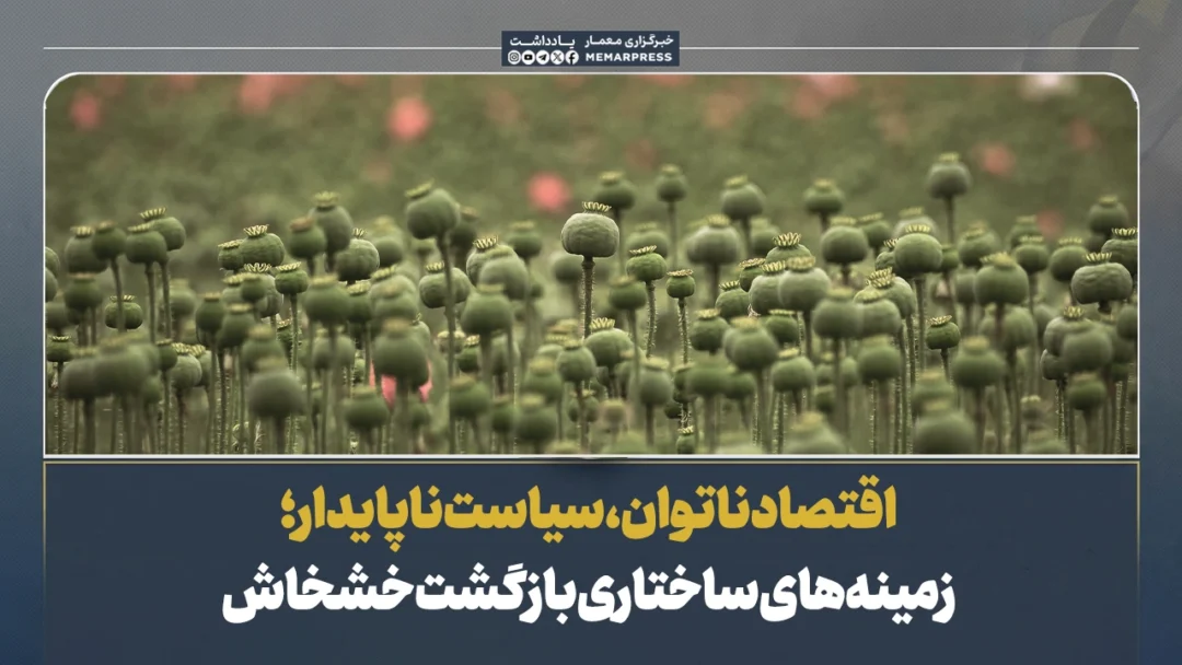 اقتصاد ناتوان، سیاست ناپایدار؛ زمینههای ساختاری بازگشت خشخاش