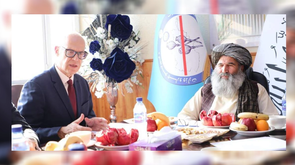 همکاری افغانستان و سازمان ملل برای معیشت بدیل برای دهقانان