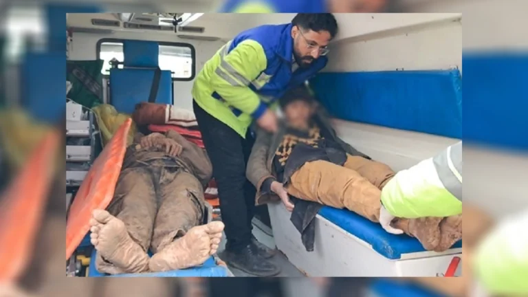 ایران از نجات ۷۰۰ مهاجر افغانستانی گرفتار در برف وسرما در مرز تایباد خبر داد